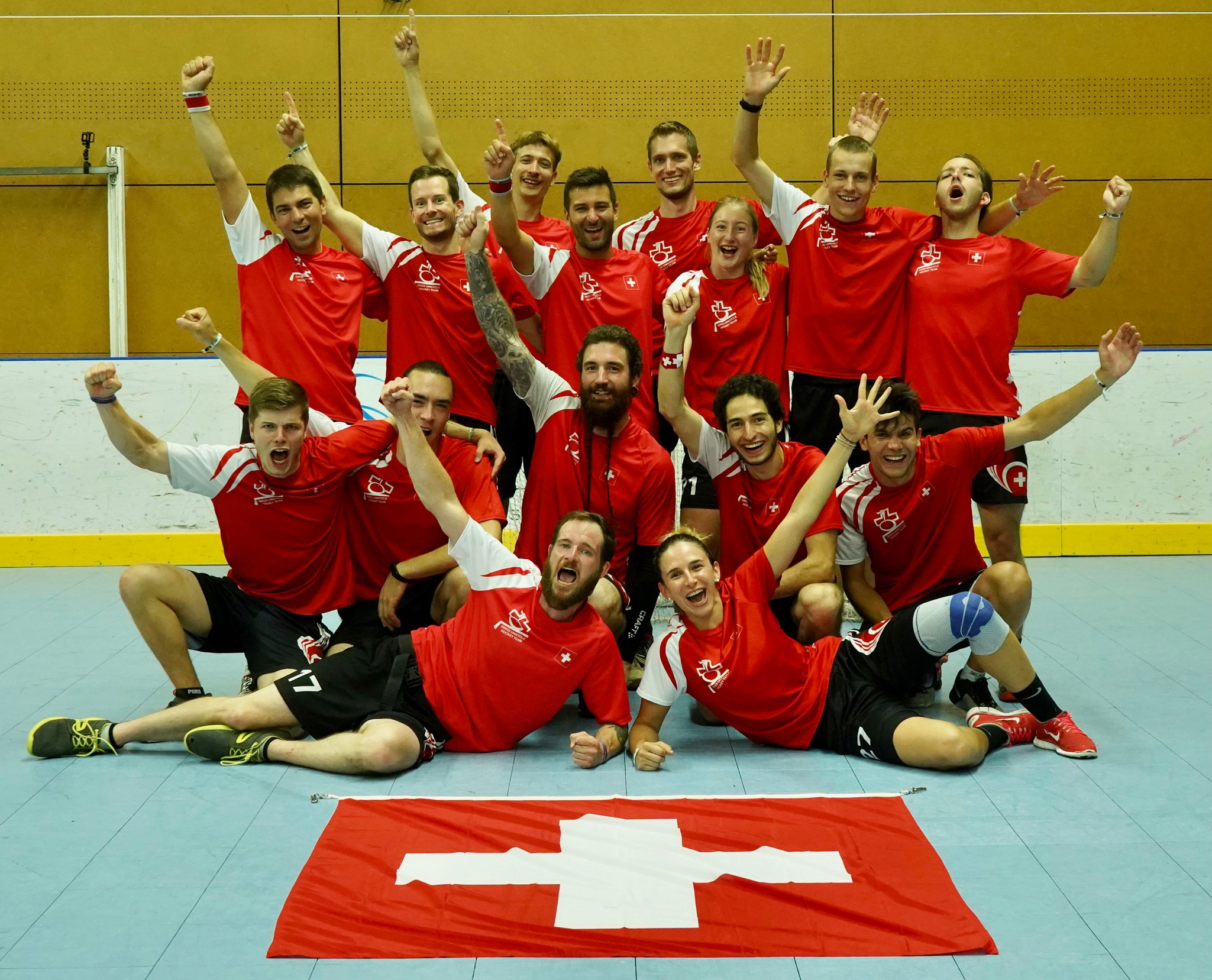 Swissteam 2